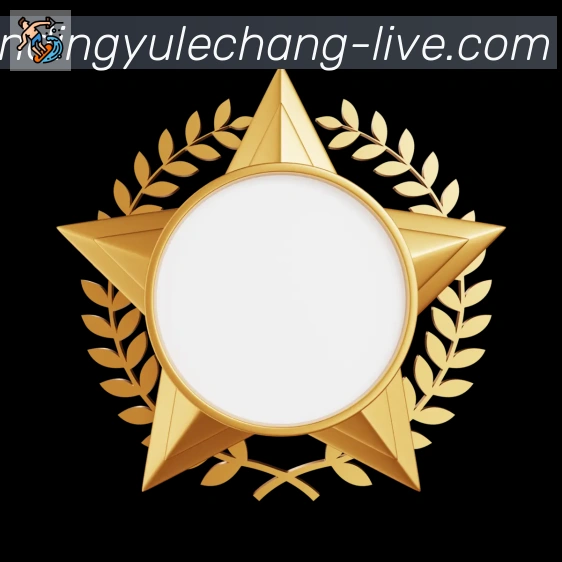 平台使命图